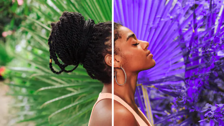 Filters and LUTs